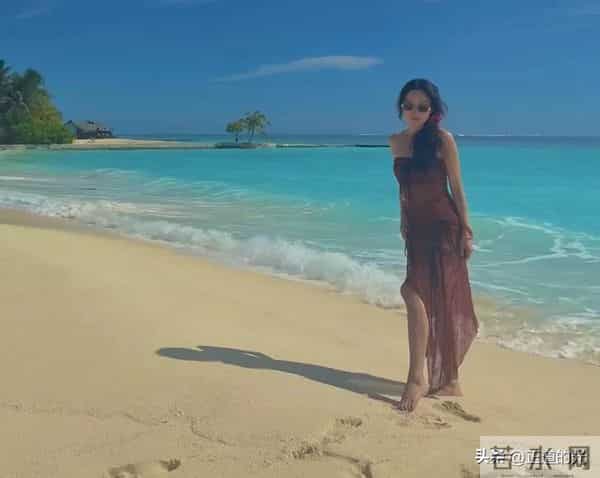 夏露晒泳装照 秀美背大长腿 疑马龙为妻拍照 陪两个儿子马尔代夫度假