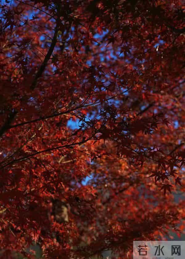 李云霄分享最新美照，简约穿搭配微卷发，美得那么耀眼