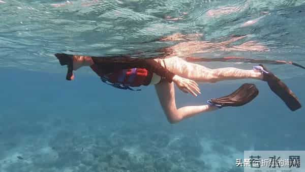 关晓彤，泳装穿搭壁纸精选图集