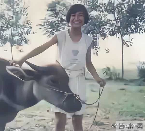 钱赚够了不装了？退出春晚、解散公司，贾玲如今的下场怪不了别人