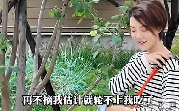 有一种算计叫车晓和李兆会，离婚12年后，二人之间的输赢高下立见