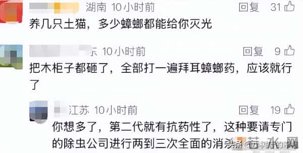 钱再多有什么用！林青霞奢华一辈子，老了竟然住在“蟑螂窝”