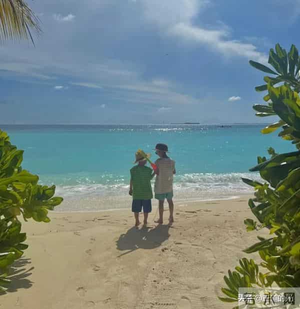 夏露晒泳装照 秀美背大长腿 疑马龙为妻拍照 陪两个儿子马尔代夫度假