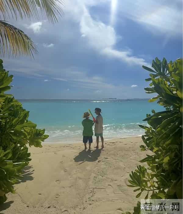 马龙教儿子潜水父爱满满 掌镜为夏露拍美照 结婚8年依旧如胶似漆