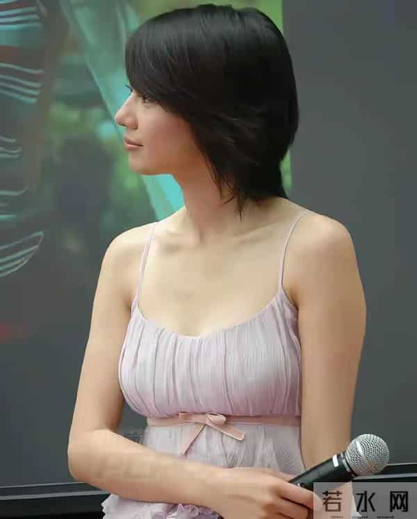 高圆圆早期活动现场那时的她确实是清纯的代名词笑容甜美宛如初恋