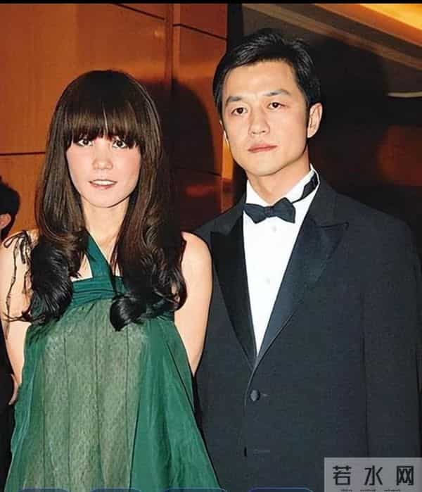 王菲也没想到,自己的现任男友谢霆锋,竟走上了和李亚鹏一样的路