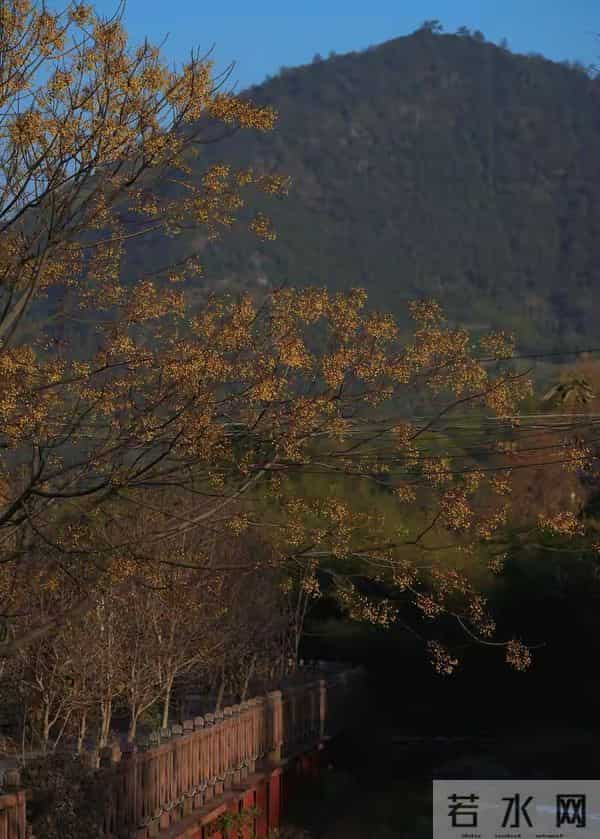 李云霄分享最新美照，简约穿搭配微卷发，美得那么耀眼