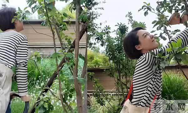 有一种算计叫车晓和李兆会，离婚12年后，二人之间的输赢高下立见