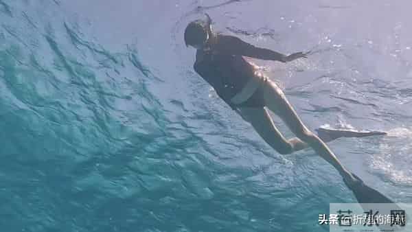 关晓彤，泳装穿搭壁纸精选图集