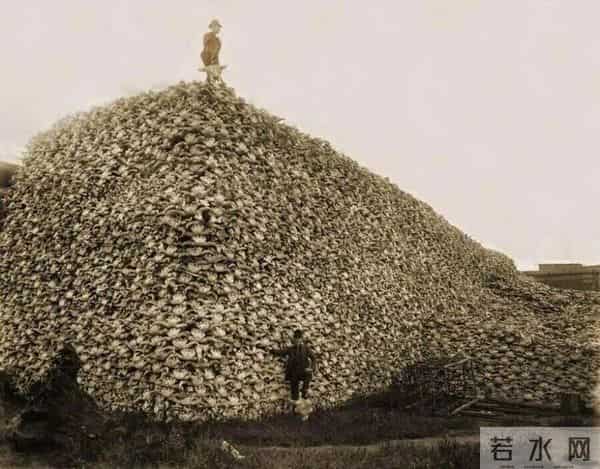 24张活久未见的照片：玛丽莲·梦露因为“招牌”动作被家暴