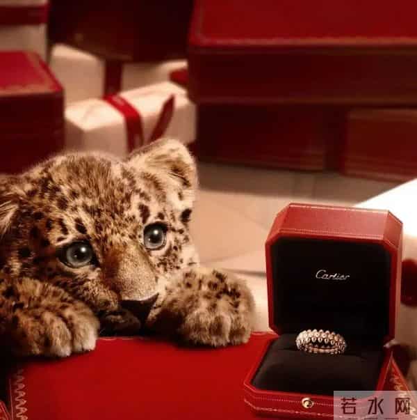 吴千语抄袭风波升级,直播销售额破亿惹质疑,一件毛衣就卖2000