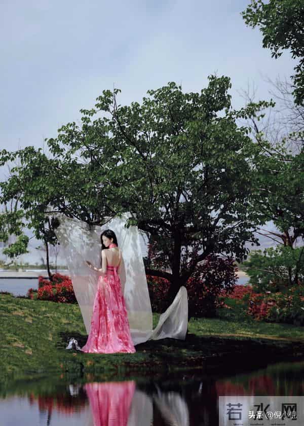 张艺凡~粉色镂空礼服,亮相第二十届华表奖