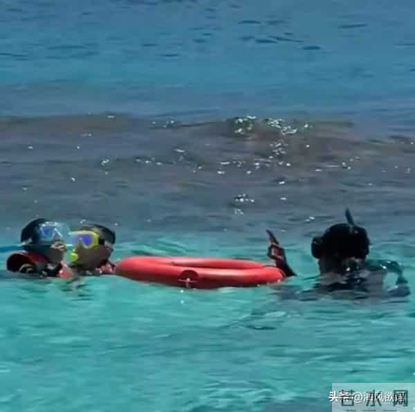 马龙一家海岛度假,夏露戴草帽甜笑似女星,他陪两儿子潜水超有爱