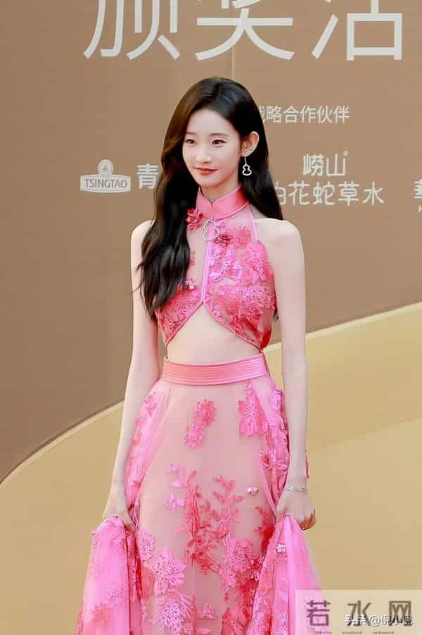张艺凡~粉色镂空礼服,亮相第二十届华表奖