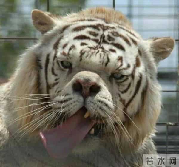 24张活久未见的照片：玛丽莲·梦露因为“招牌”动作被家暴