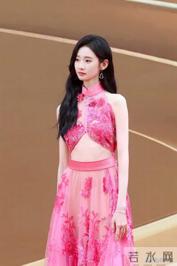 张艺凡~粉色镂空礼服,亮相第二十届华表奖