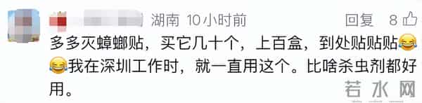 林青霞豪宅遭大量“小强”入侵，被吓到坐立难安……