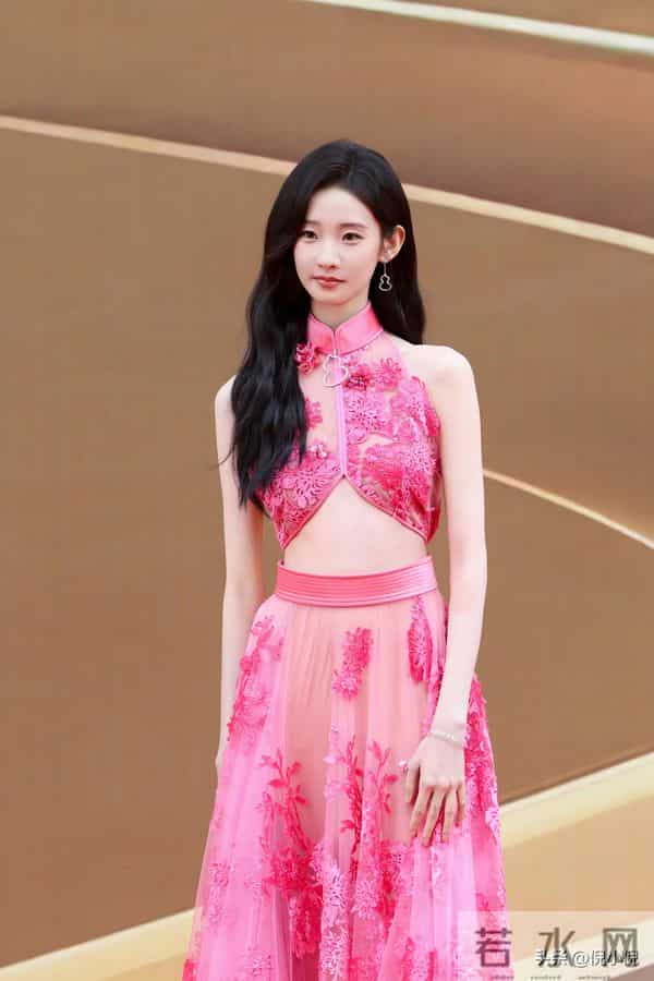 张艺凡~粉色镂空礼服,亮相第二十届华表奖