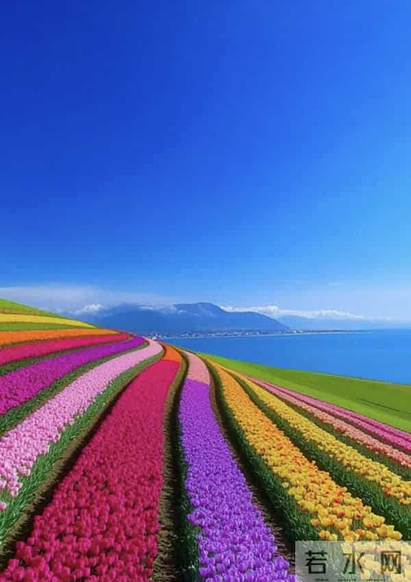 看完最近爆火的唐朝诡事录之长安我顿悟了成年人最稀缺的3种能力