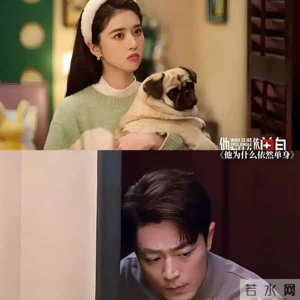 《他为什么依然单身》夏小满那次向俞瑜表白,他听懂了还是没听懂