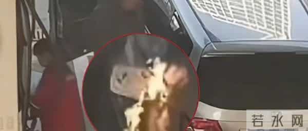 太“疯狂”了!订单排到明年了!