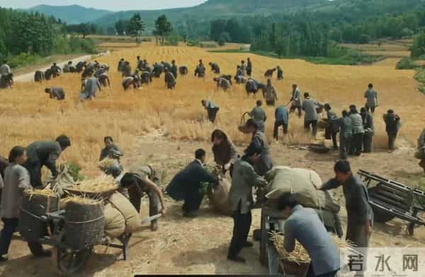 2025年最热的8部剧，《藏海传》第5，《生万物》第4，第1太意外