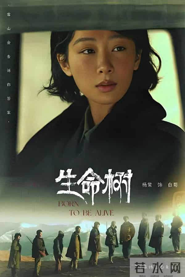 央视发文力推！3部重磅年代剧特播，《生命树》领衔，总有你的菜