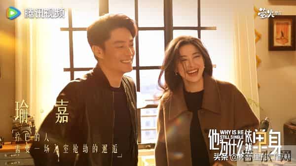 《他为什么依然单身》、《亦舞之城》热度、隐喻象征、现象级话题
