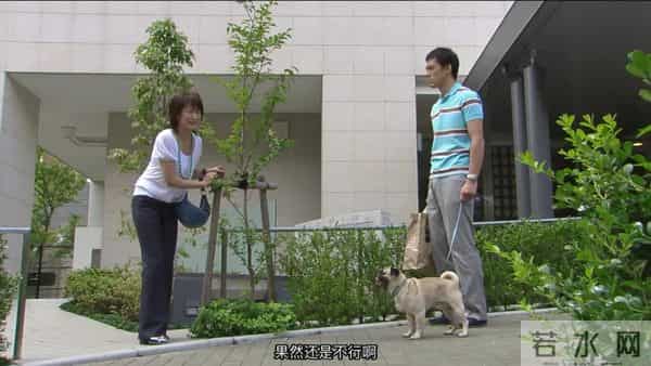 从9分到6.9,国产翻拍又又又又又丢人了??