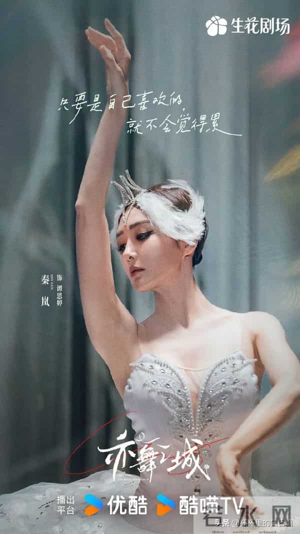 《他为什么依然单身》、《亦舞之城》热度、隐喻象征、现象级话题