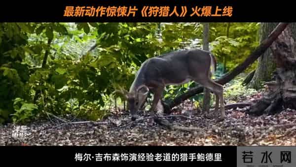 梅尔吉布森领衔《狩猎人》 硬核动作惊悚大片全高清呈现