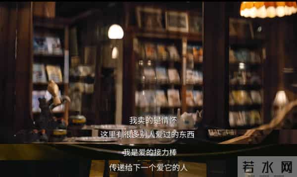 新潮观鱼:日本“不婚男人”引进中国,观众为何不买账?