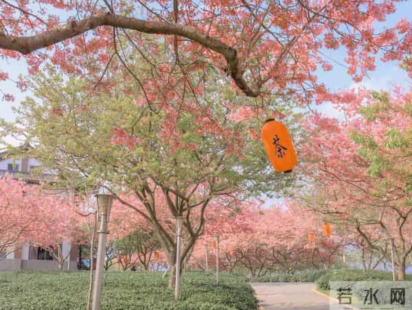 看完最近爆火的唐朝诡事录之长安我顿悟了成年人最稀缺的3种能力