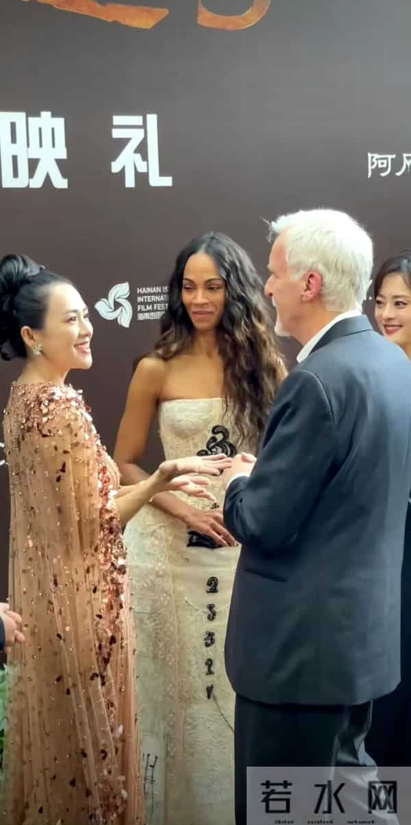 阿凡达3首映礼,邓超孙俪牵手红毯超哥偷亲娘娘,章子怡雍容华贵