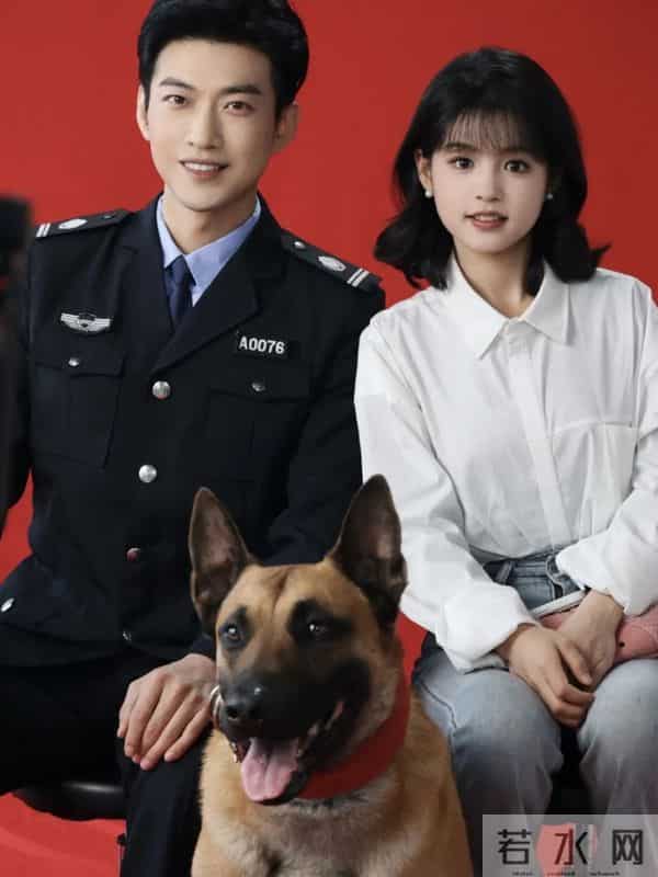 2025年底短剧情侣新洗牌! 榜首众望所归,最后一对竟是真情侣