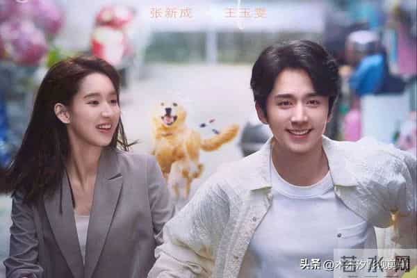 高甜预警！8部宝藏“爱情小甜剧”，甜到嘴角上扬！