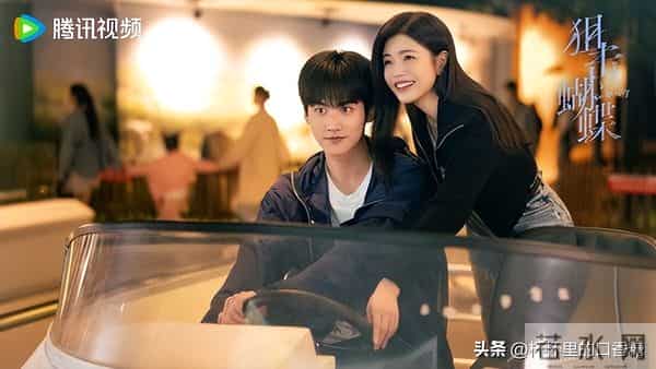 10部“追一集就好看到躺平坑底”都市剧！ 《狙击蝴蝶》一追沦陷