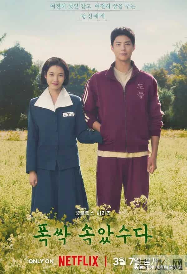 Google香港2025年十大热搜剧集:TVB霸榜,《新闻女王2》夺冠