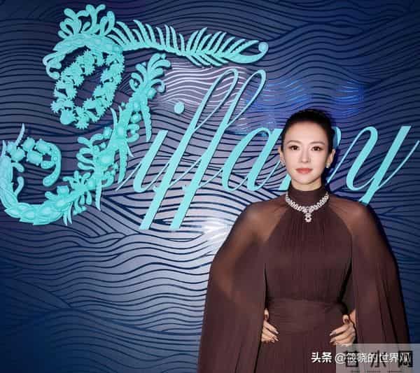 三亚红毯上有趣一幕，章子怡和导演交谈眉开眼笑，孙俪站边成陪衬