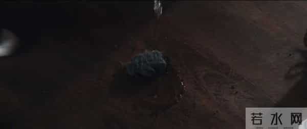 这票房冠军,有胆就上