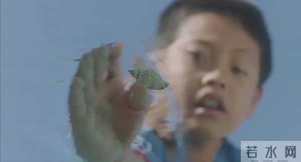 苏州|好片不错过 - 儿童版《隐入尘烟》?听听导演怎么说