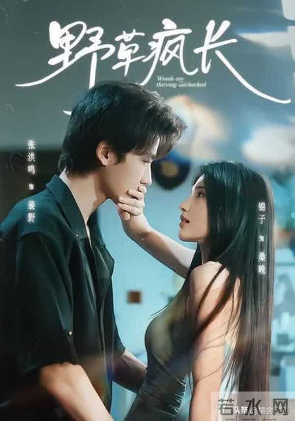 《狙击蝴蝶》不够看！这6部出圈的姐弟恋短剧也很好磕！