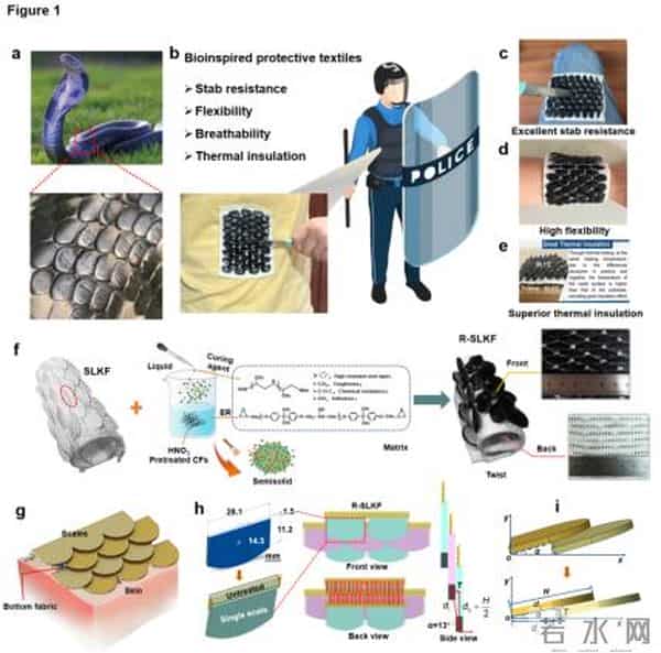 前方高能!《疯狂动物城 2》的动物技能照进现实了