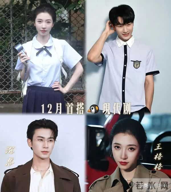 沉思王格格首搭“双强CP”,《战恋告捷》开机就上头?