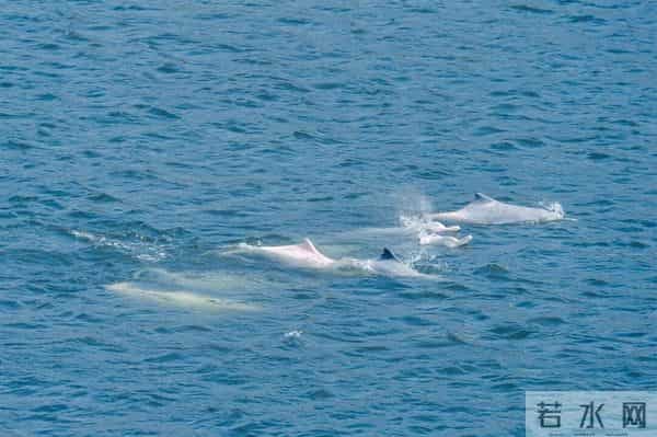 “顶流”来了!又一取景阳江的电影本周上映