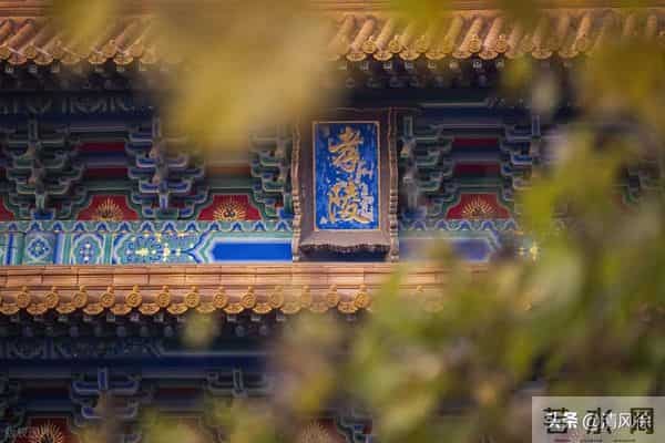 从0.5%收视到9.8分逆袭：看懂《大明王朝1566》，才知职场没赢家