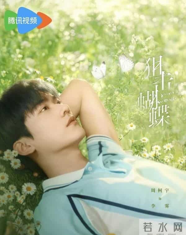 从群嘲到真香,《狙击蝴蝶》凭啥让观众边骂边追