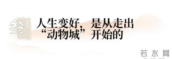 《疯狂动物城2》爆火，道破1个冰冷真相：拉开人与人差距的