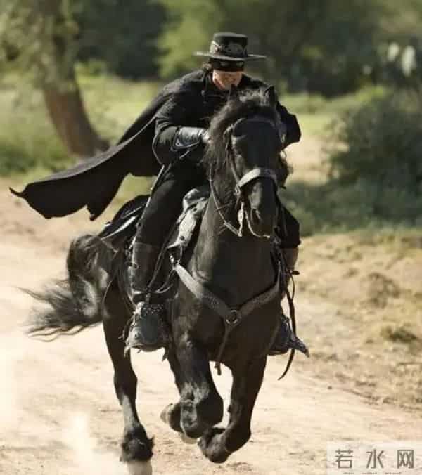 电影《佐罗》的历史背景:西班牙在南美的殖民地