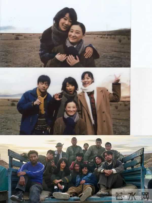 央视发文力推！3部重磅年代剧特播，《生命树》领衔，总有你的菜